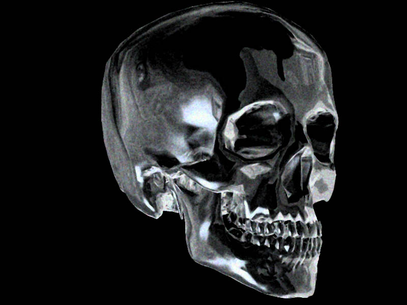 lebka5 lebka5.jpg, 65 kB